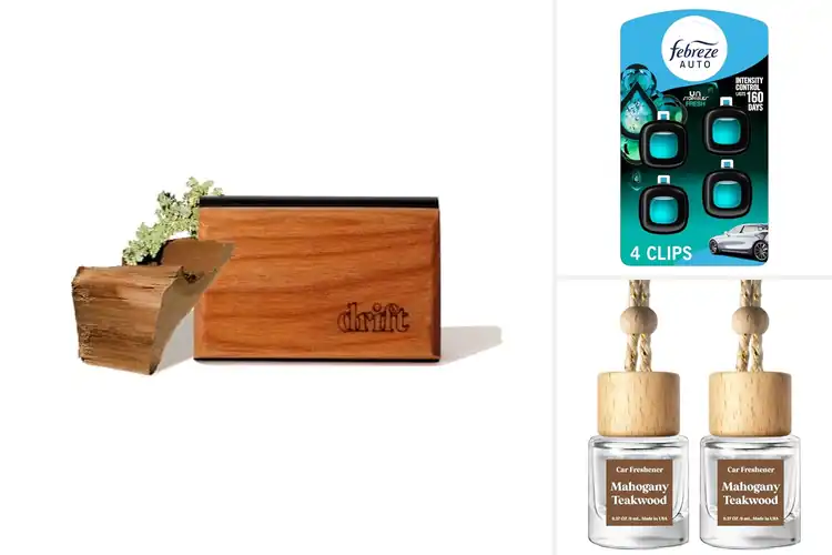 Detailed view of Best Automotive Air Fresheners