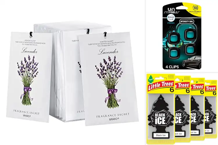 Detailed view of Best Car Air Fresheners: Top 10 Picks for a Fresh Ride