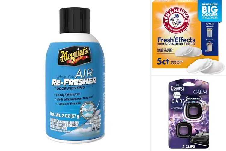 Detailed view of Best Car Deodorizers: Freshen Your Ride with Top Picks