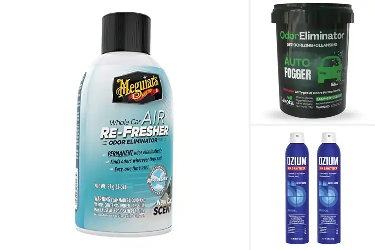 Detailed view of Best Car Odor Eliminators: 10 Top Products for a Fresh Ride