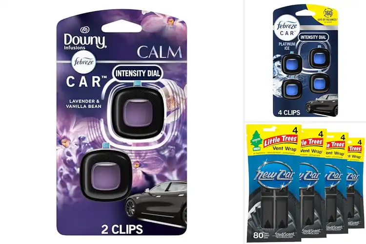 Detailed view of Best Car Vent Fresheners