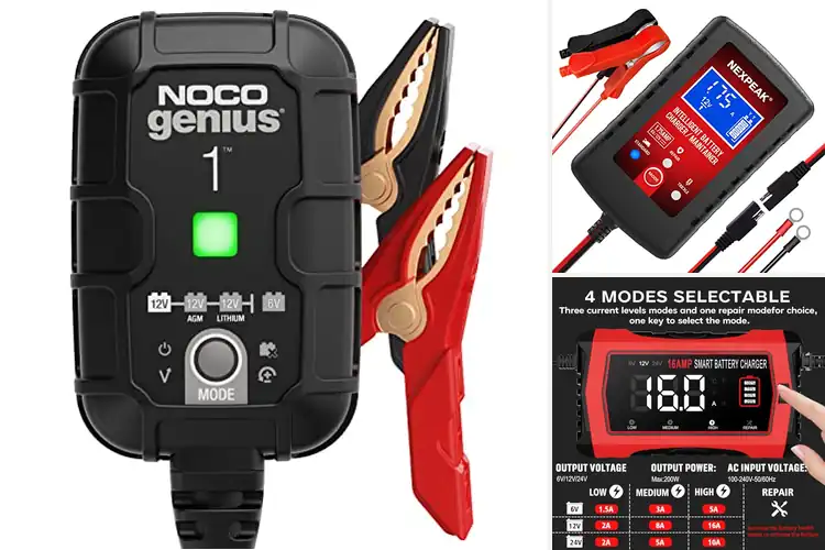 Detailed view of Best Chargers For 6V And 12V Batteries