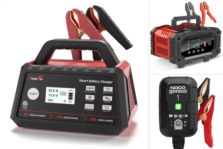Detailed view of Best Chargers For Deep-Cycle And AGM Batteries