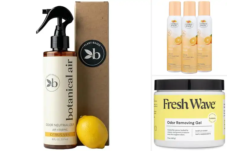 Detailed view of Best Cruelty Free Air Fresheners for a Fresh Home