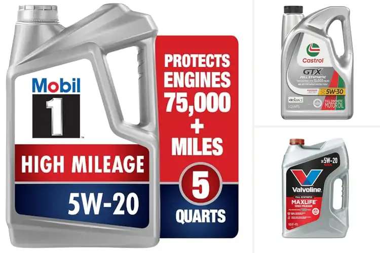Detailed view of Best Full Synthetic Motor Oils