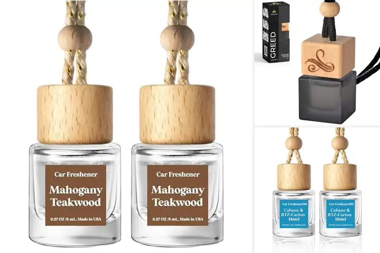 Detailed view of Best Luxury Car Fresheners