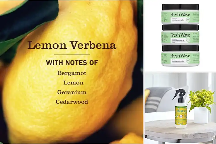 Detailed view of Best Natural Air Fresheners