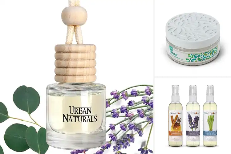 Detailed view of Best Natural Formulation Fresheners