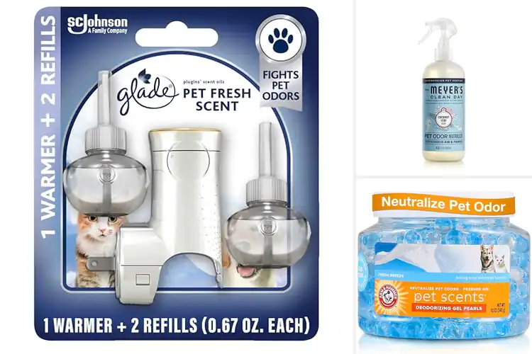Detailed view of Best Pet Friendly Air Fresheners: 10 Safe & Fresh Picks