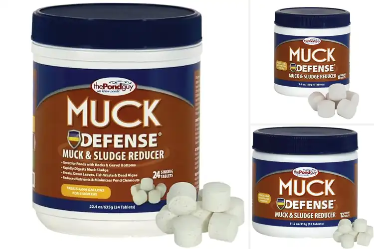 Detailed view of Best Sludge Defenses