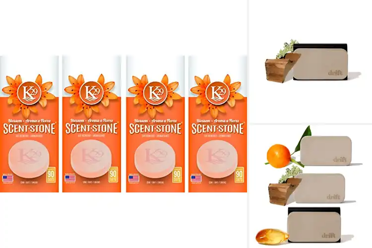 Detailed view of Best Stone Air Fresheners