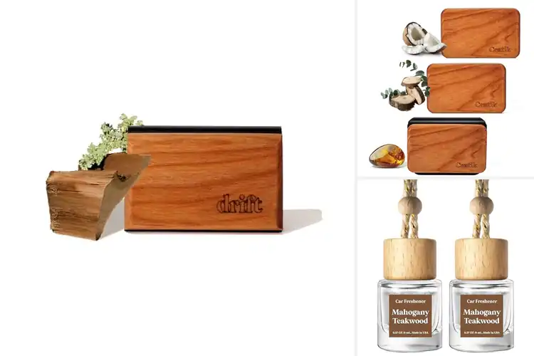 Detailed view of Best Sustainable Car Fresheners