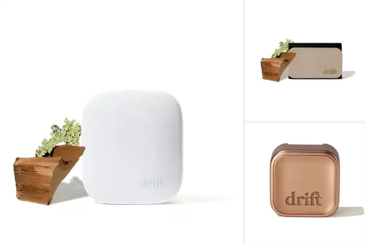 Detailed view of Best Teak Scent Starters