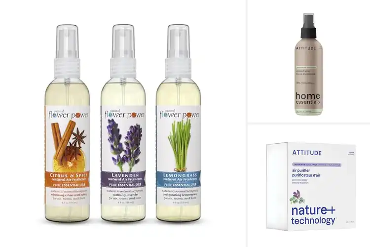Detailed view of Best Vegan Air Fresheners